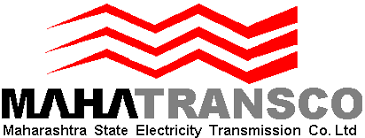 Domestic client logo