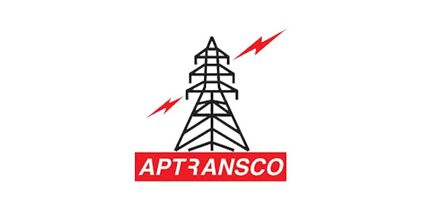 Domestic client logo